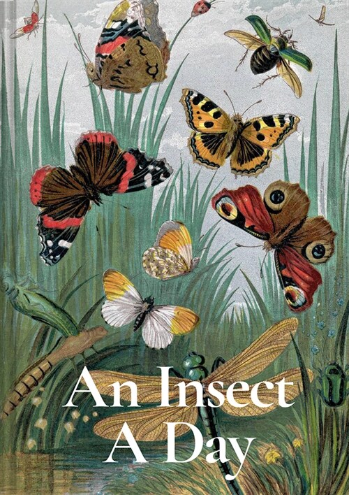 An Insect A Day : Bees, bugs, and pollinators for every day of the year (Hardcover)