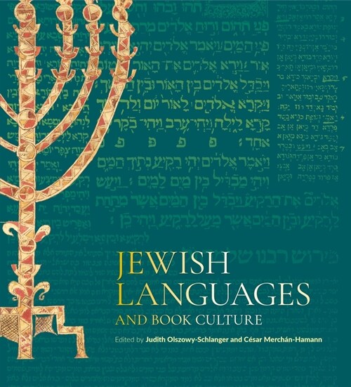 Jewish Languages and Book Culture (Hardcover)