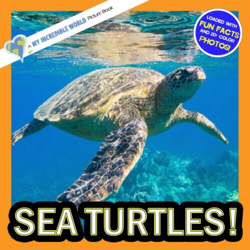 Sea Turtles! (Paperback)