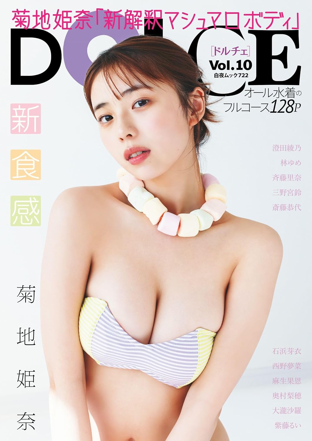 DOLCE Vol.10 (白夜ムック 722)