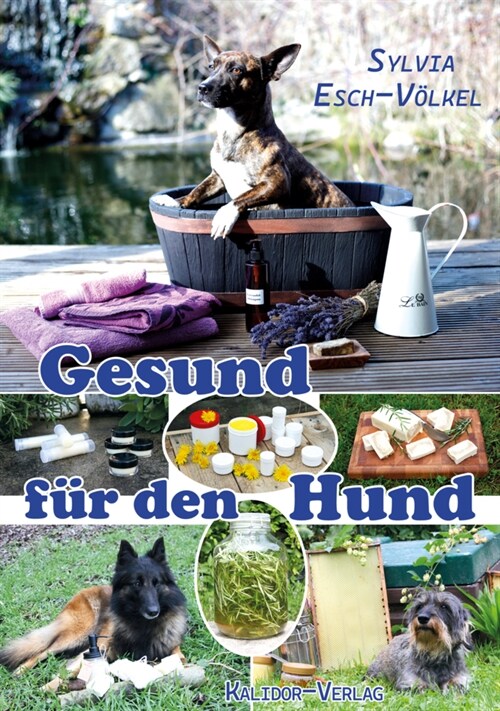 Gesund fur den Hund (Paperback)