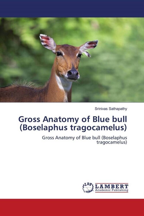 Gross Anatomy of Blue bull (Boselaphus tragocamelus) (Paperback)