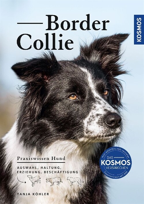 Border Collie (Paperback)