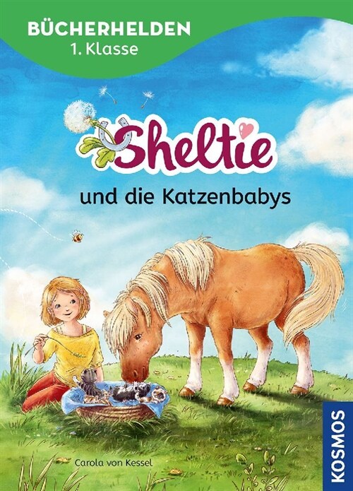 Sheltie, Bucherhelden 1. Klasse, Sheltie und die Katzenbabys (Hardcover)