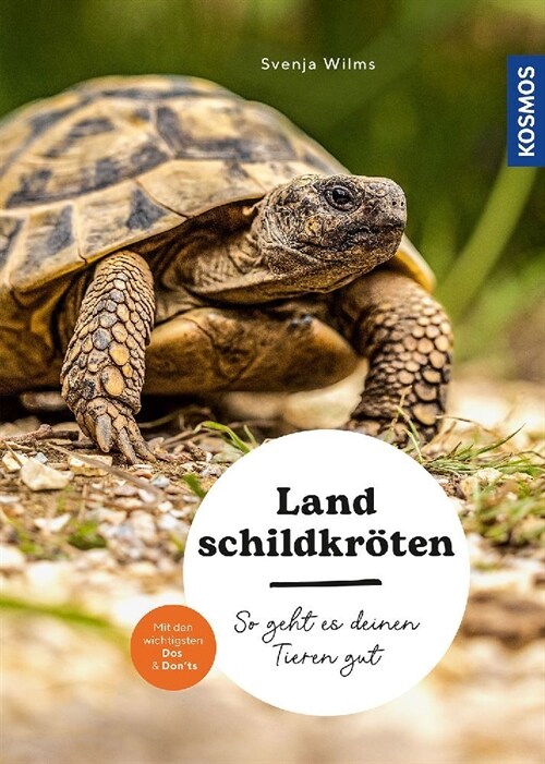 Landschildkroten (Paperback)