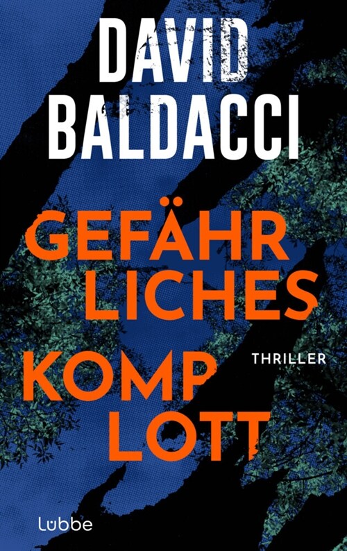 Gefahrliches Komplott (Hardcover)