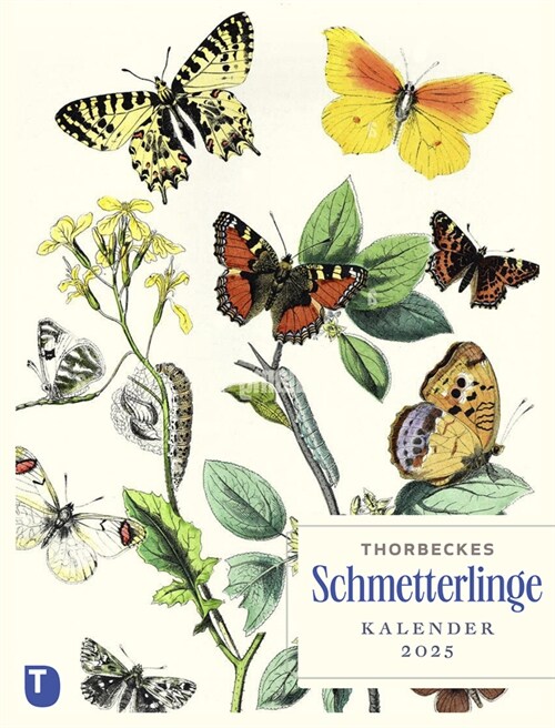 Thorbeckes Schmetterlinge-Kalender 2025 (Calendar)