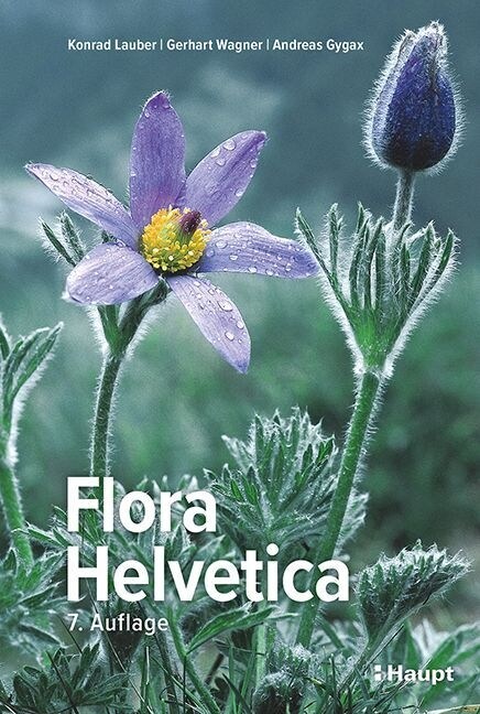 Flora Helvetica - Illustrierte Flora der Schweiz (Hardcover)