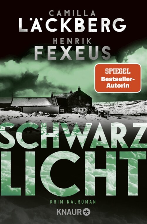 Schwarzlicht (Paperback)