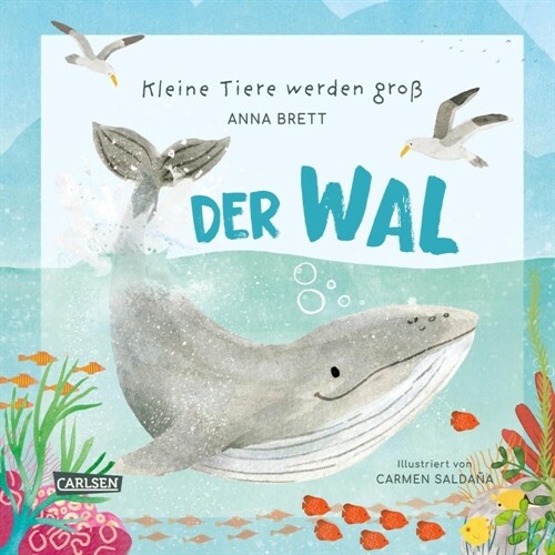 Kleine Tiere werden groß - Der Wal (Hardcover)
