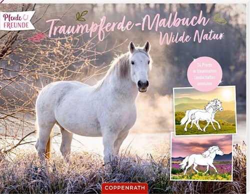 Traumpferde-Malbuch: Wilde Natur (Paperback)