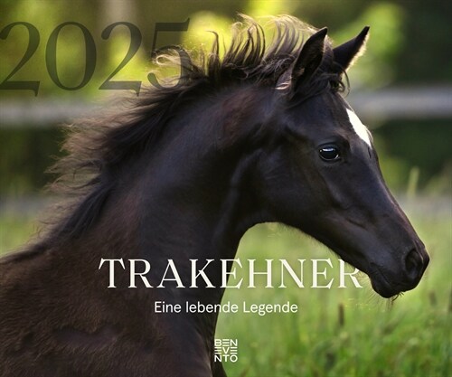 Trakehner 2025 (Calendar)
