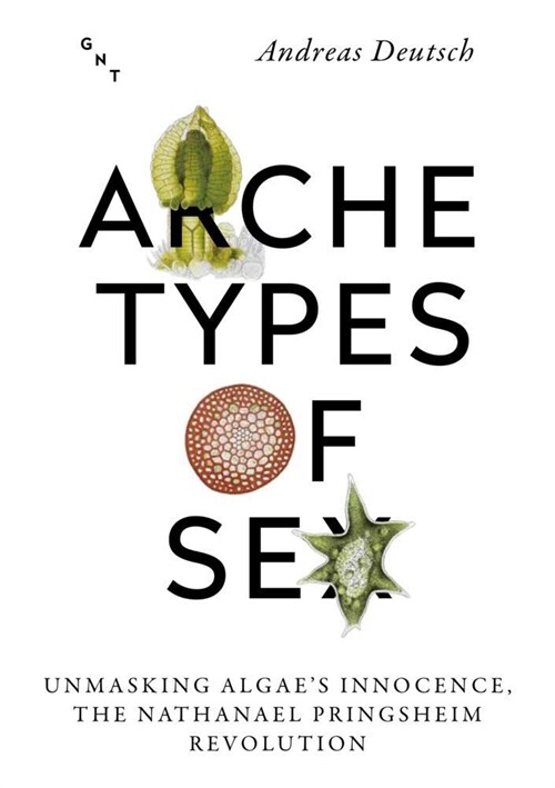 Archetypes of Sex (Paperback)
