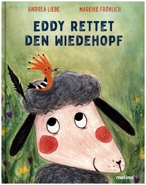 Eddy rettet den Wiedehopf (Hardcover)