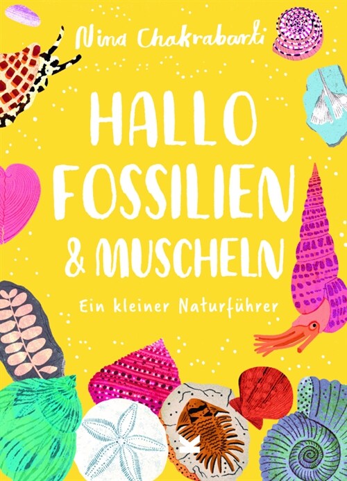 Hallo Fossilien & Muscheln (Book)