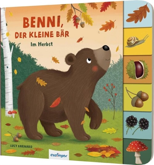 Mein erstes Jahreszeitenbuch: Benni, der kleine Bar (Board Book)