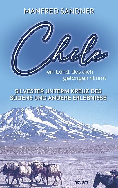 Chile - ein Land, das dich gefangen nimmt: Silvester unterm Kreuz des S?ens und andere Erlebnisse (Paperback)