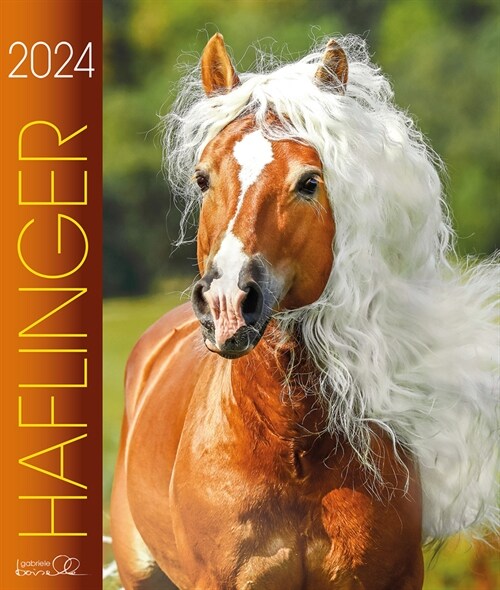 Haflinger 2024 (Calendar)