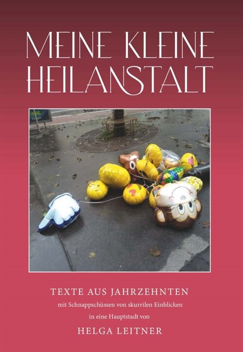 MEINE KLEINE HEILANSTALT (Hardcover)