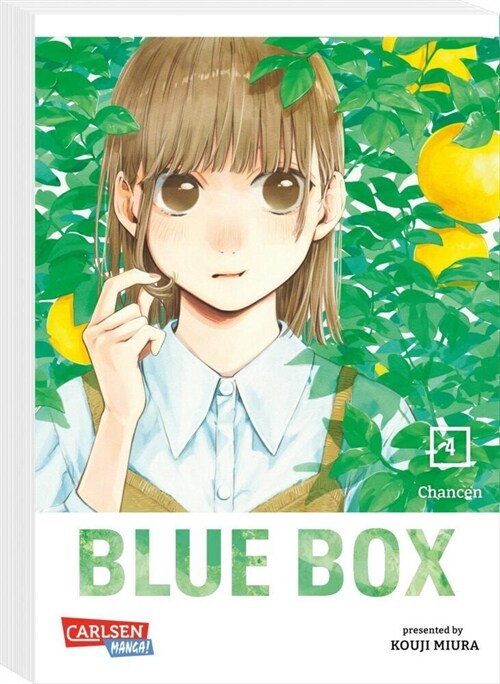 Blue Box 4 (Paperback)