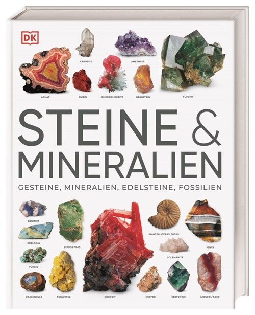 Steine & Mineralien (Hardcover)