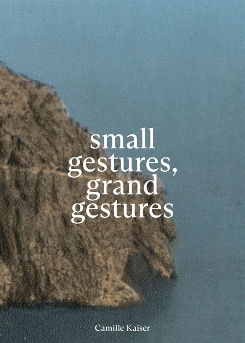 small gestures, grand gestures (Paperback)