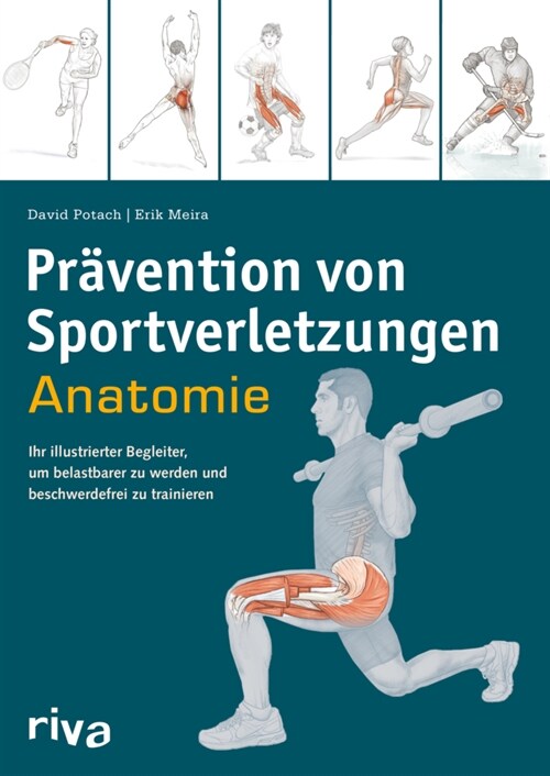 Pravention von Sportverletzungen - Anatomie (Paperback)