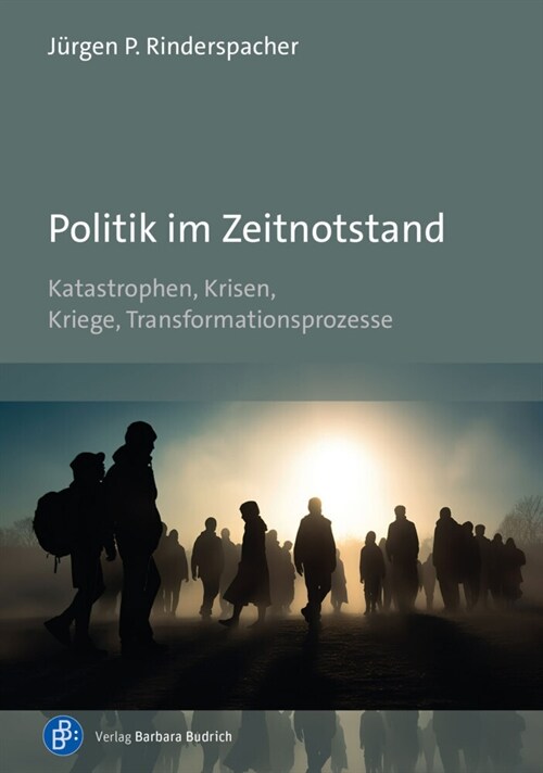 Politik im Zeitnotstand (Hardcover)