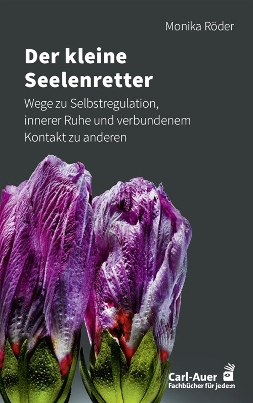 Der kleine Seelenretter (Book)