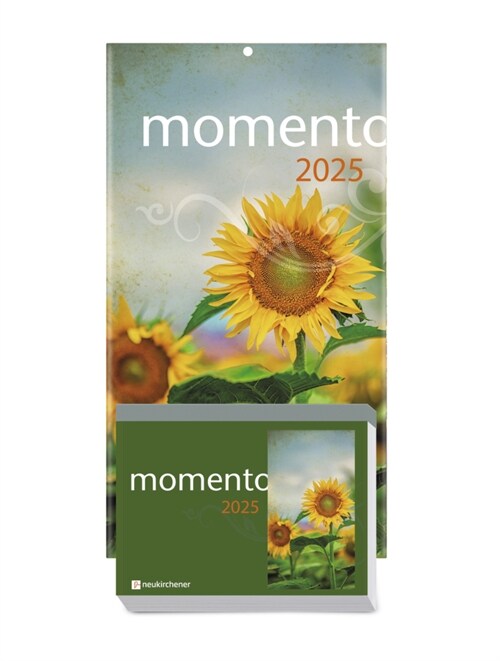 momento 2025 - Abreißkalender mit Ruckwand und Aufstellfuß (Calendar)