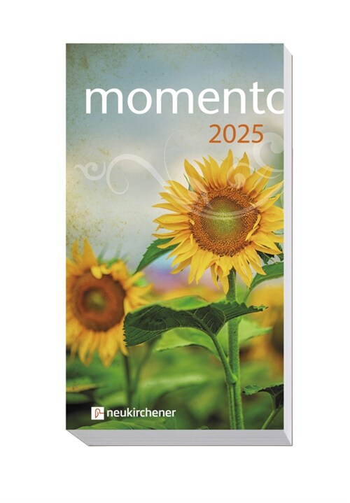 momento 2025 - Taschenbuch (Calendar)