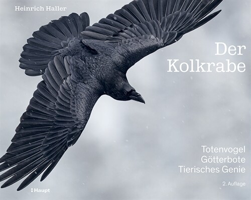 Der Kolkrabe - Totenvogel, Gotterbote, tierisches Genie (Hardcover)