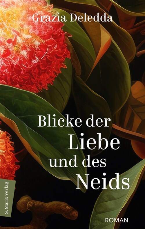 Blicke der Liebe und des Neids (Hardcover)