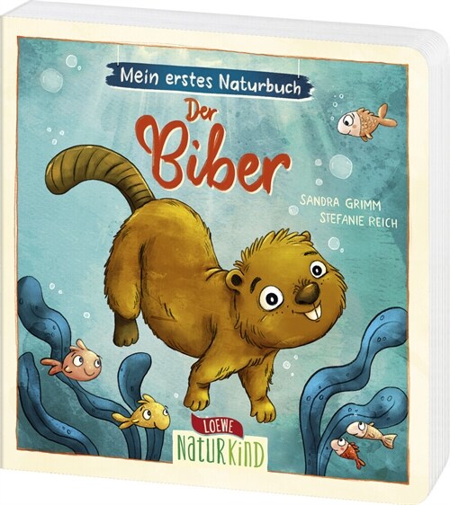 Mein erstes Naturbuch - Der Biber (Board Book)