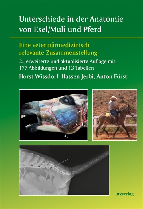 Unterschiede in der Anatomie von Esel/Muli und Pferd (Paperback)