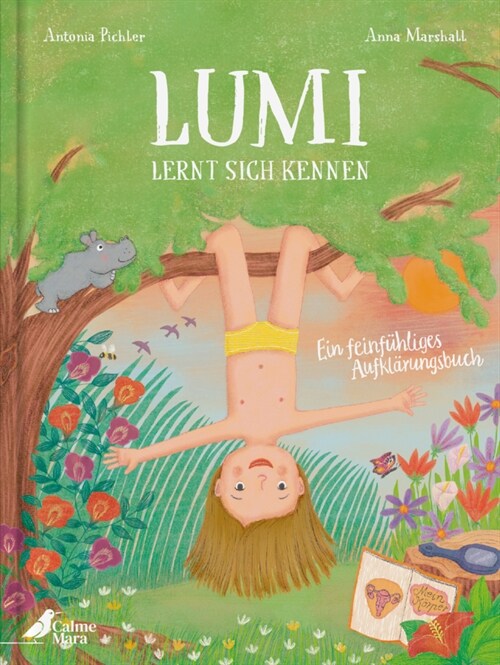 Lumi lernt sich kennen (Hardcover)