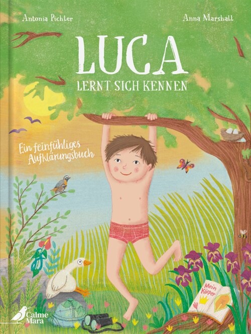 Luca lernt sich kennen (Hardcover)