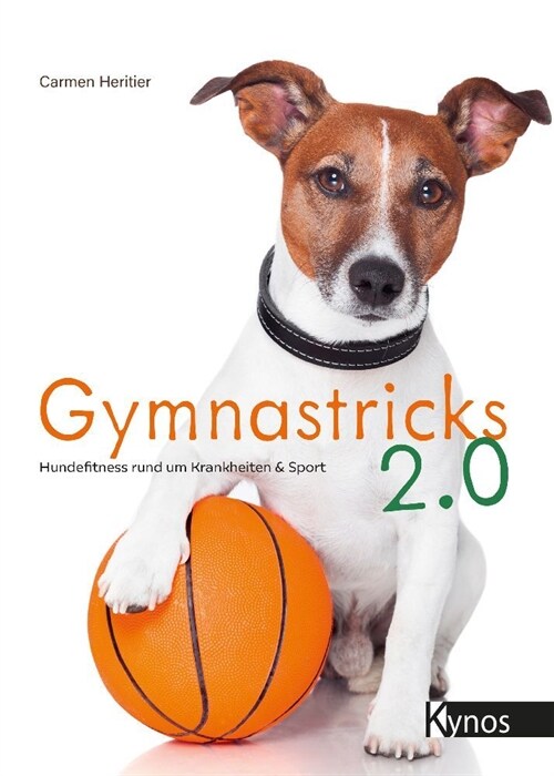 Gymnastricks 2.0 (Paperback)