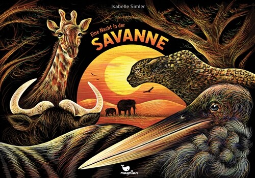 Eine Nacht in der Savanne (Hardcover)