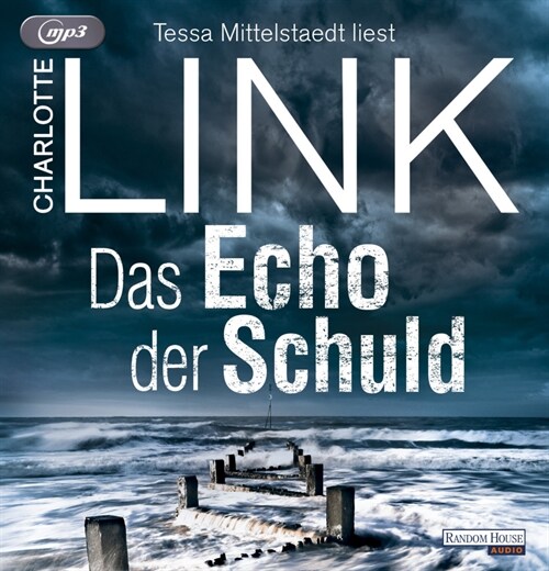 Das Echo der Schuld, 2 Audio-CD, 2 MP3 (CD-Audio)