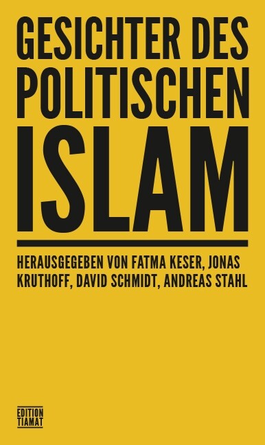 Gesichter des politischen Islam (Paperback)