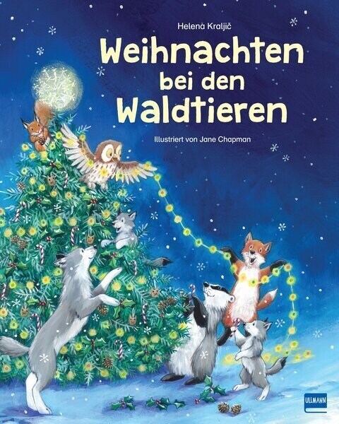 Weihnachten bei den Waldtieren (Hardcover)