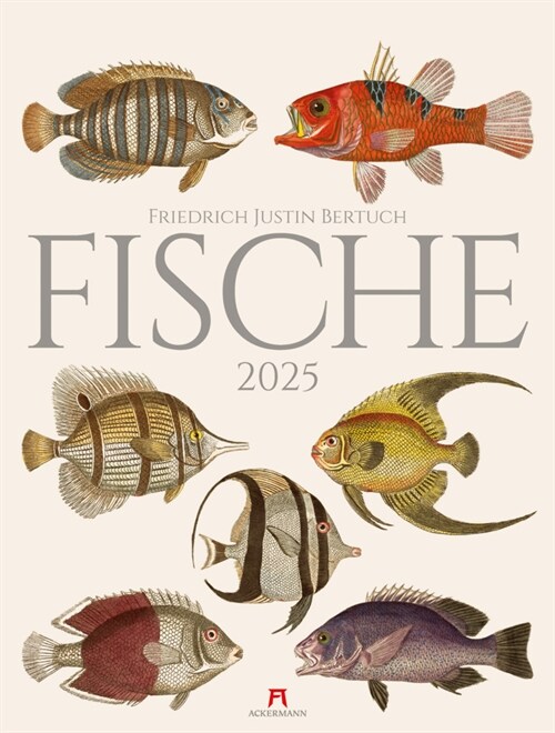 Fische Kalender 2025 (Calendar)