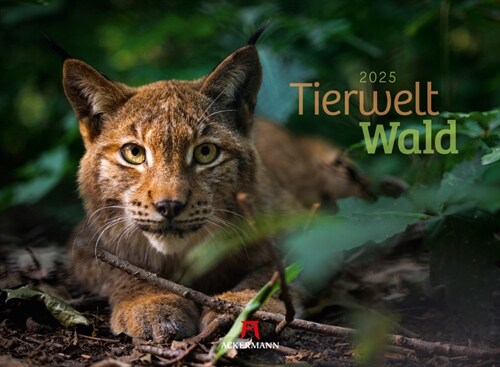 Tierwelt Wald Kalender 2025 (Calendar)
