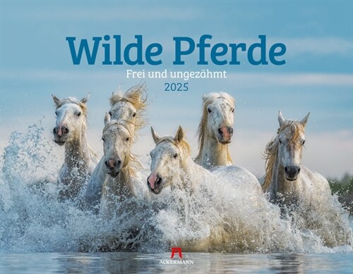 Wilde Pferde Kalender 2025 (Calendar)