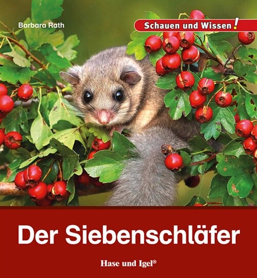 Der Siebenschlafer (Hardcover)