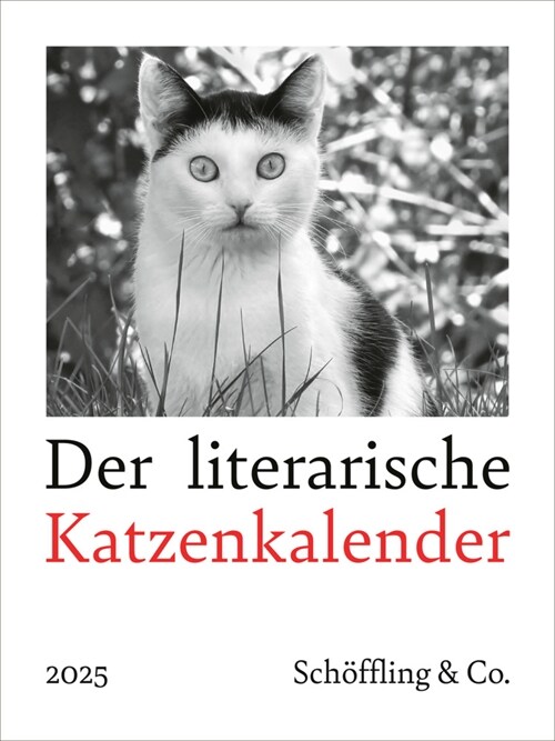 Der literarische Katzenkalender 2025 (Calendar)