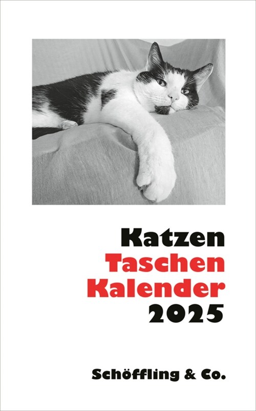Katzen Taschenkalender 2025 (Calendar)