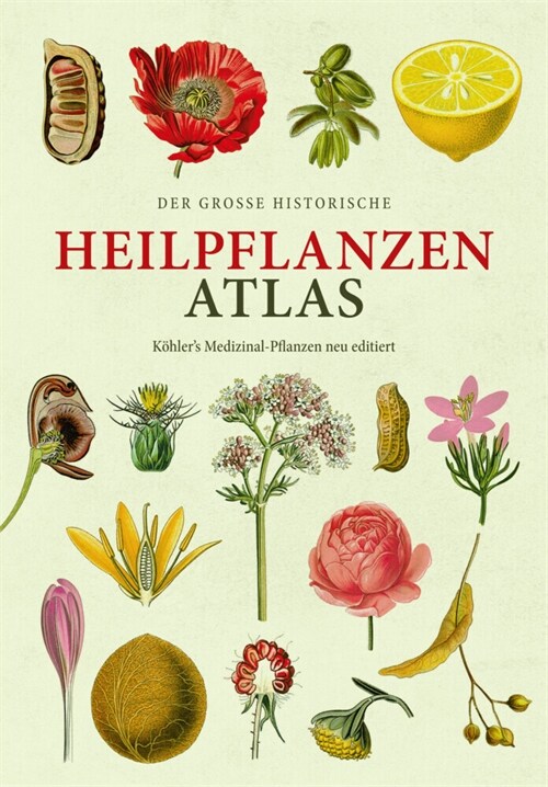 Der große Heilpflanzen-Atlas (Erfolgsausgabe) (Hardcover)