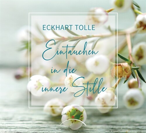 Eintauchen in die innere Stille (Hardcover)